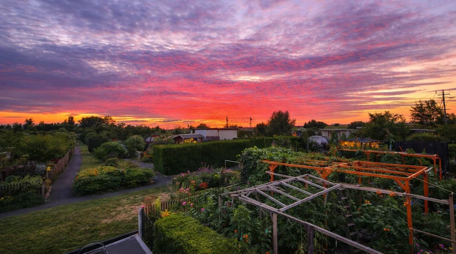 Frühjahrs-Arbeitseinsatz 2025 im KGV Anton Vockert Markranstädt